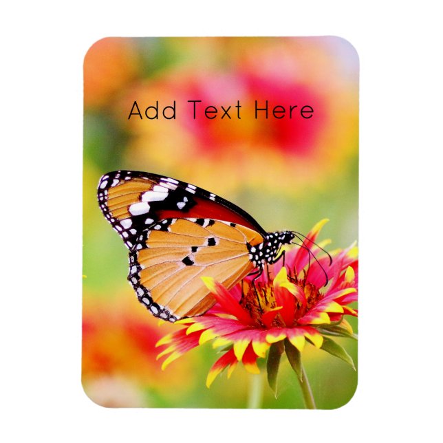Monarch Butterfly auf der Blume Rot und Gelb Magnet (Vertikal)