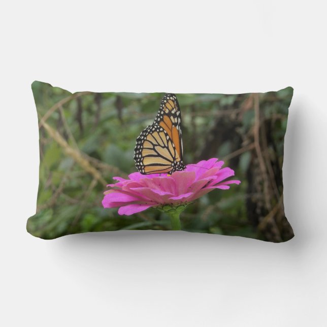 Monarch Butterfly auf der Hübschen rosa Zinnia-Blu Lendenkissen (Vorderseite)