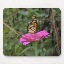 Monarch Butterfly auf der Hübschen rosa Zinnia-Blu Mousepad