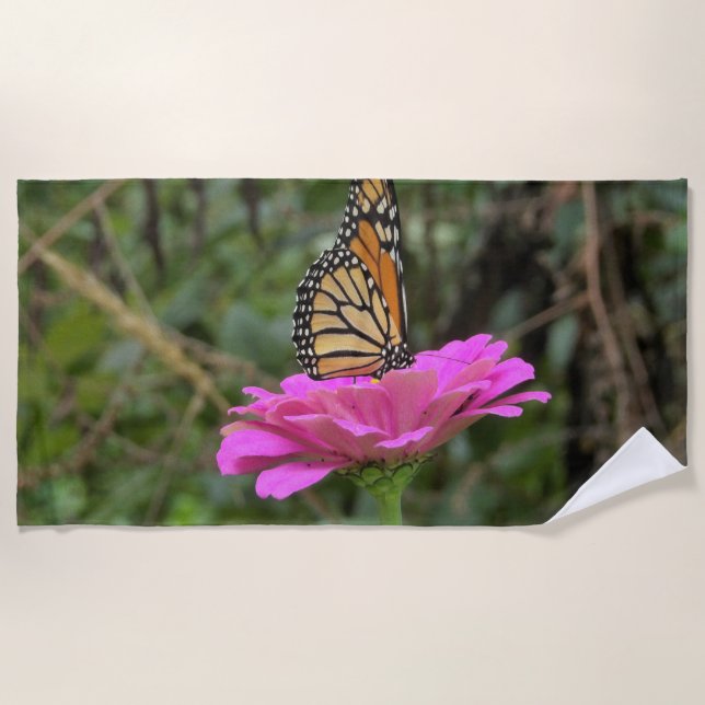 Monarch Butterfly auf der Hübschen rosa Zinnia-Blu Strandtuch (Vorderseite)