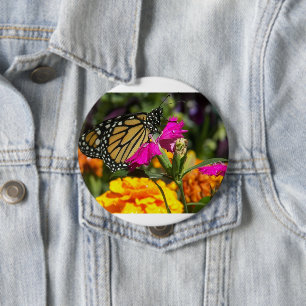 Monarch Butterfly auf der Pink-Marigold-Blume Button