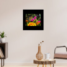 Monarch Butterfly auf der Pink-Marigold-Blume