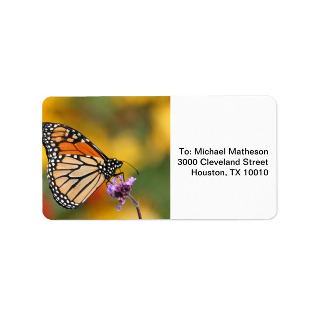 Monarch Butterfly auf der Suche nach Pollen Adressaufkleber (Vorne)