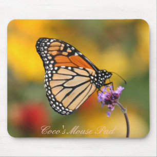 Monarch Butterfly auf der Suche nach Pollen Mousepad
