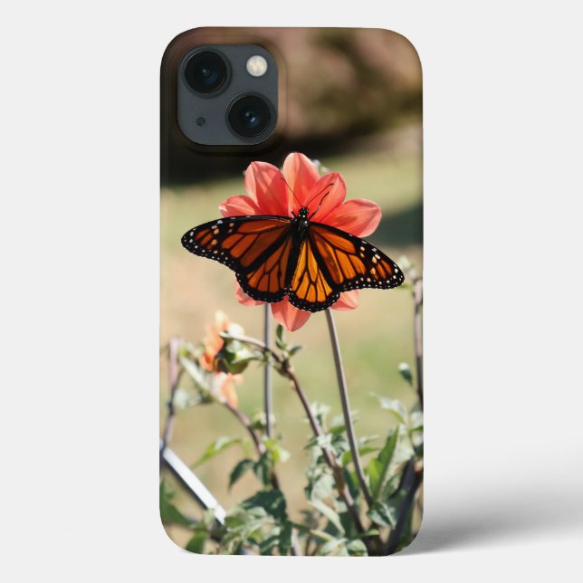 Monarch Butterfly auf einem Dahlia Case-Mate iPhone Hülle (Rückseite)