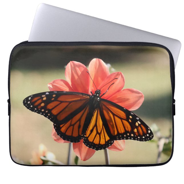 Monarch Butterfly auf einem Dahlia Laptopschutzhülle (Vorderseite)