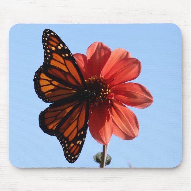 Monarch Butterfly auf einem Dahlia Mousepad (Vorne)