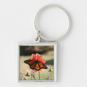Monarch Butterfly auf einem Dahlia Schlüsselanhänger