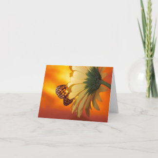 Monarch Butterfly auf einer schwarzen Karte