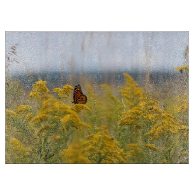 Monarch Butterfly auf Goldenrod Schneidebrett (Vorderseite)