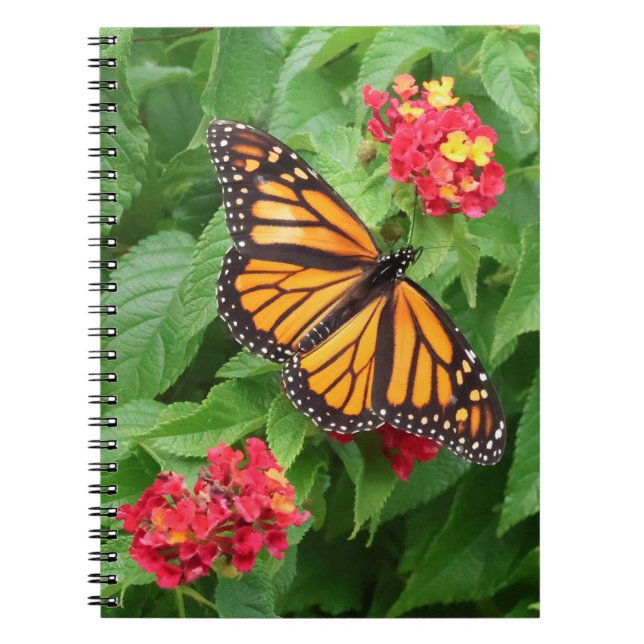Monarch Butterfly auf Lantana Notizblock (Vorderseite)