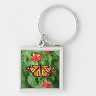 Monarch Butterfly auf Lantana Schlüsselanhänger