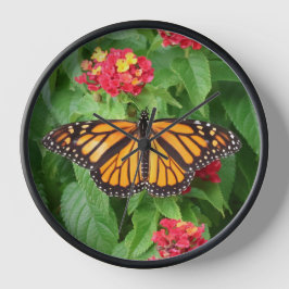 Monarch Butterfly auf Lantana Uhr