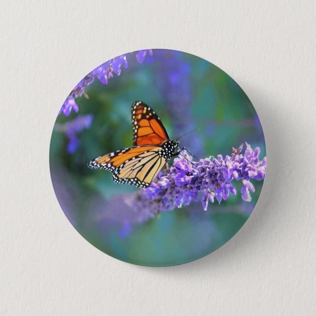 Monarch Butterfly auf Lila lila Blume Button (Vorderseite)