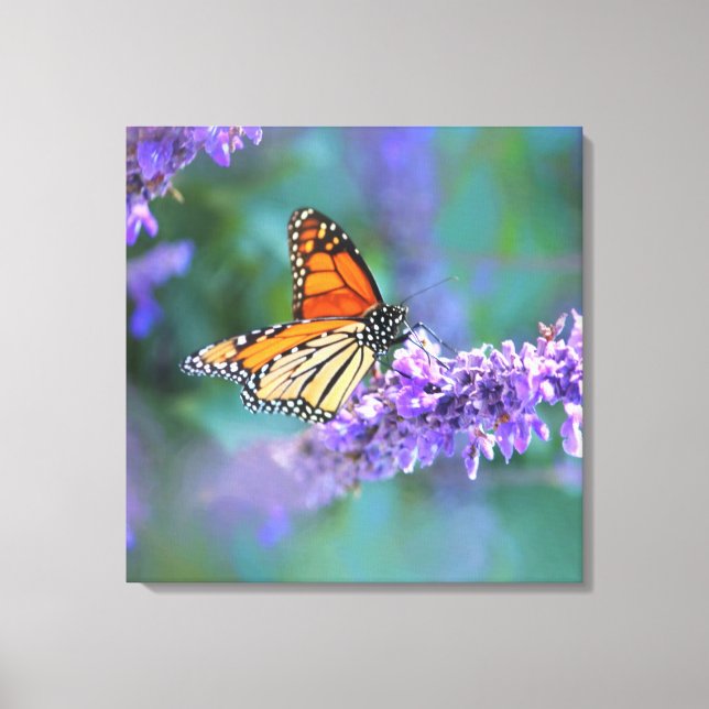 Monarch Butterfly auf Lila lila Blume Leinwanddruck (Vorderseite)