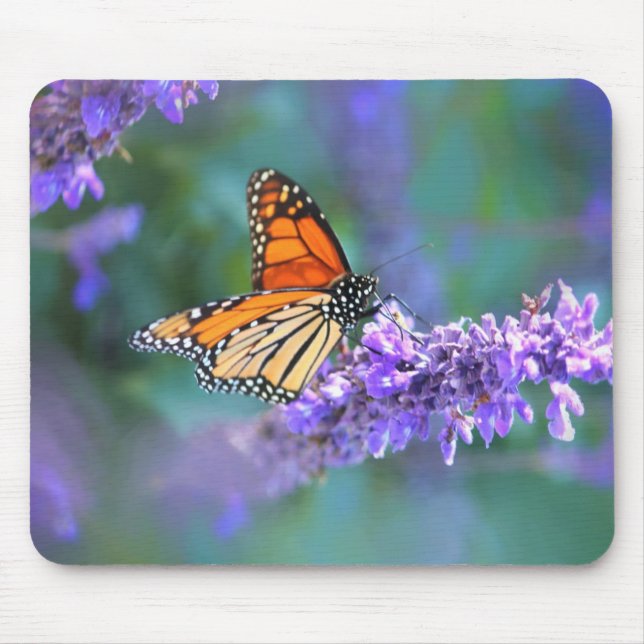 Monarch Butterfly auf Lila lila Blume Mousepad (Vorne)