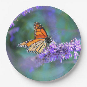 Monarch Butterfly auf Lila lila Blume Pappteller