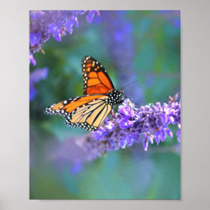 Monarch Butterfly auf Lila lila Blume Poster