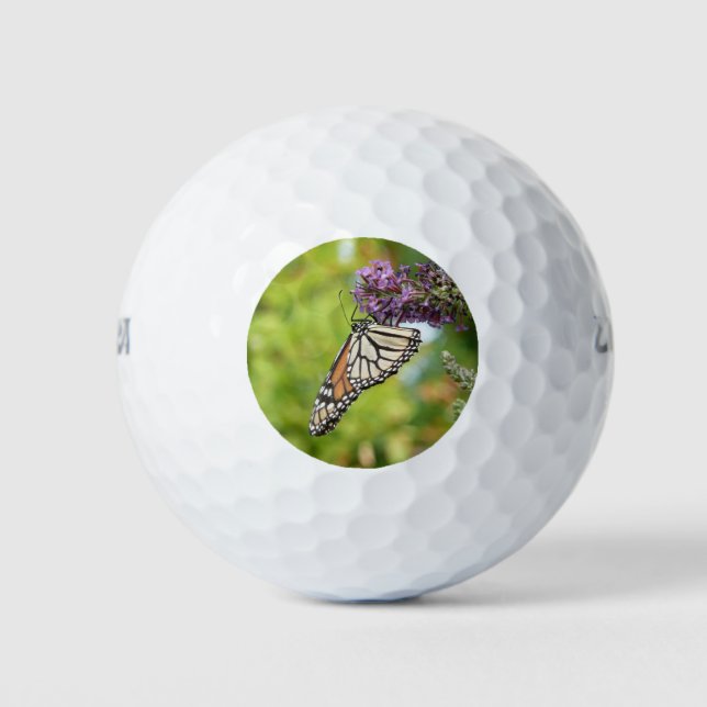 Monarch Butterfly auf Lila Schmetterling Bush Golfball (Vorderseite)