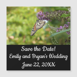 Monarch Butterfly auf Lila Schmetterling Bush Magnetkarte