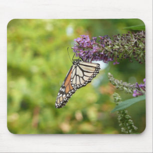 Monarch Butterfly auf Lila Schmetterling Bush Mousepad
