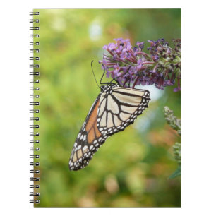 Monarch Butterfly auf Lila Schmetterling Bush Notizblock
