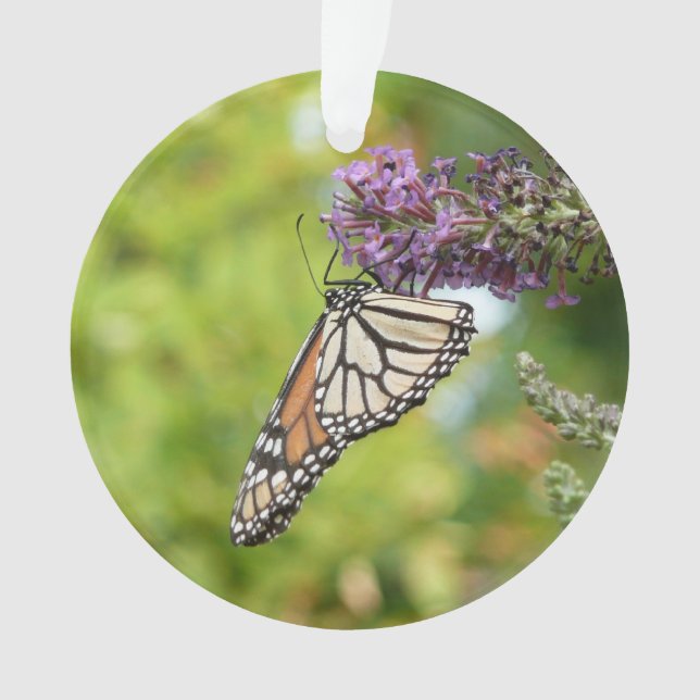 Monarch Butterfly auf Lila Schmetterling Bush Ornament (Vorderseite)