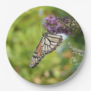 Monarch Butterfly auf Lila Schmetterling Bush Pappteller