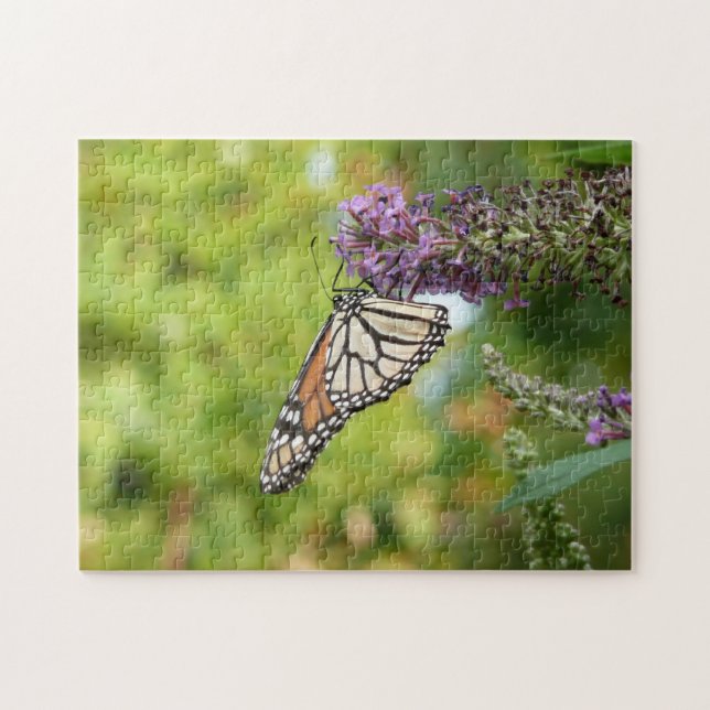 Monarch Butterfly auf Lila Schmetterling Bush Puzzle (Horizontal)