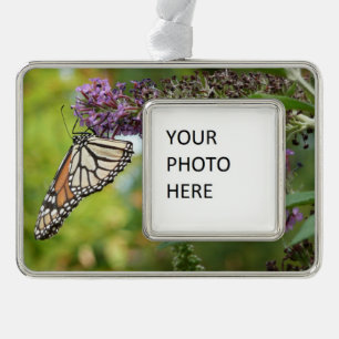 Monarch Butterfly auf Lila Schmetterling Bush Rahmen-Ornament Silber