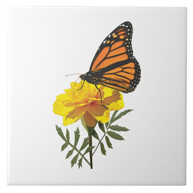 Monarch Butterfly auf Marigold Fliese (Vorderseite)