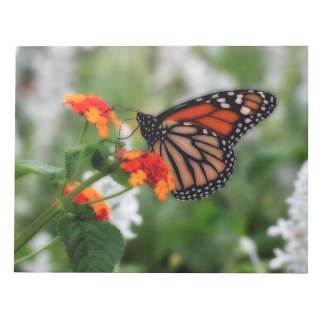 Monarch Butterfly auf Orange und Red Lantana Notizblock (Vorderseite)