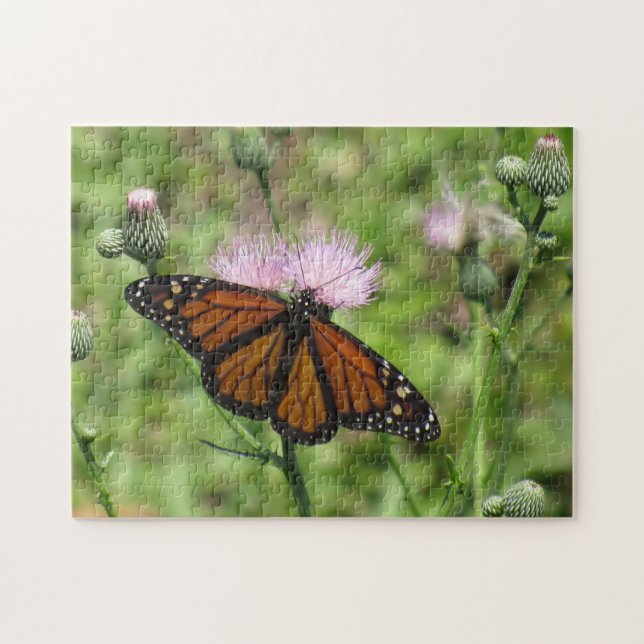 Monarch Butterfly auf Pink Thistle Jigsaw Puzzle (Horizontal)