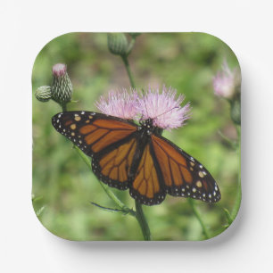 Monarch Butterfly auf Pink Thistle Paper Tellern Pappteller