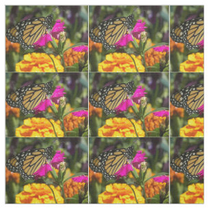 Monarch Butterfly auf Rosa Stoff