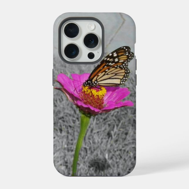 Monarch Butterfly auf rosa Zinnie iPhone Hülle (Rückseite)
