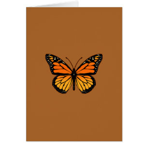 Monarch Butterfly auf Siena