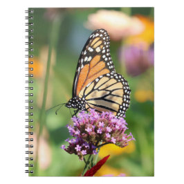 Monarch Butterfly auf Verbena Blank Notizblock