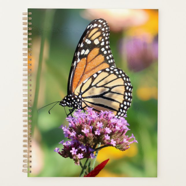 Monarch Butterfly auf Verbena & Dahlia Blank Planer (Vorderseite)