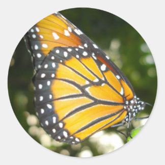 Monarch Butterfly-Aufkleber Runder Aufkleber