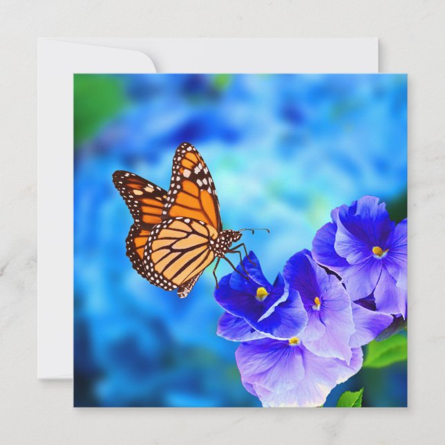 Monarch Butterfly bedrohte Wildlife Hi-Def-Karte (Vorderseite)