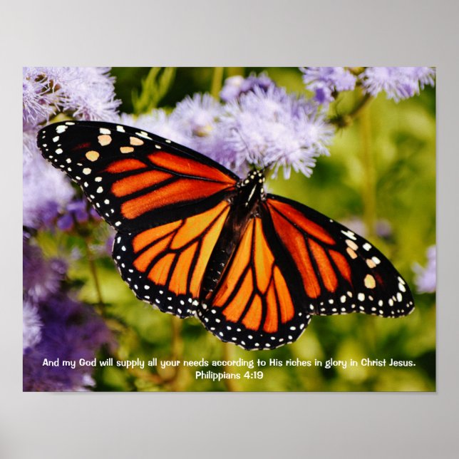 Monarch Butterfly Bibel Verse Naturetikschrift Poster (Vorne)