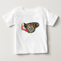 Monarch Butterfly-Bild