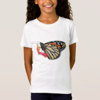 Monarch Butterfly-Bild