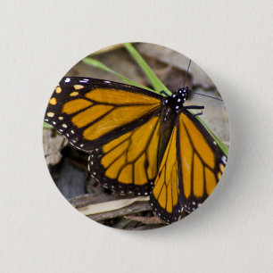 Monarch Butterfly Button