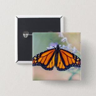 Monarch Butterfly Button