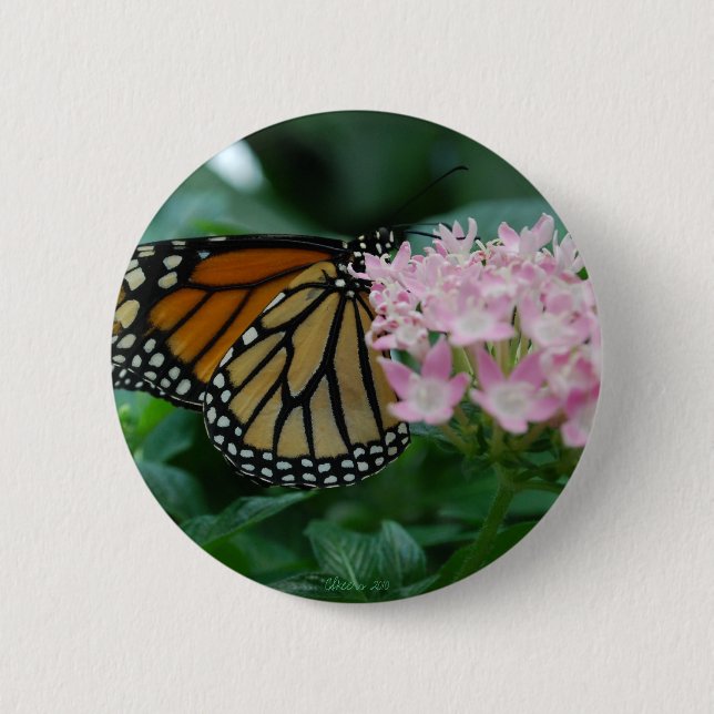 Monarch Butterfly Button Button (Vorderseite)