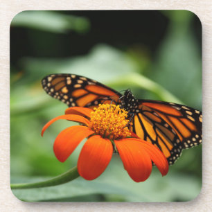 Monarch Butterfly Cork Untersetzer