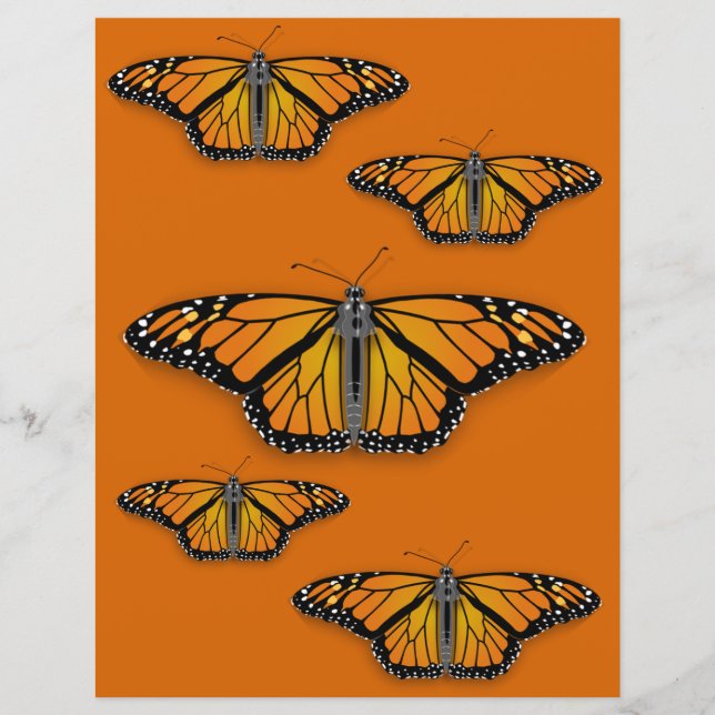Monarch Butterfly Craft (Vorderseite)
