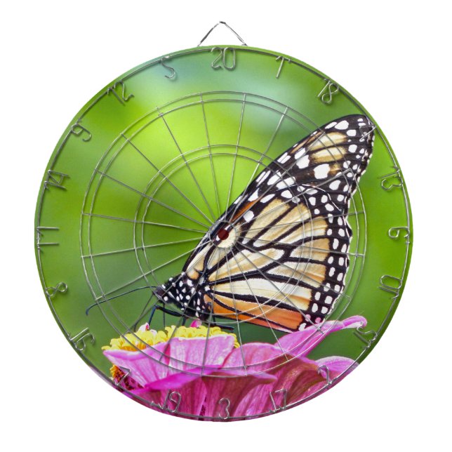 Monarch Butterfly Dartscheibe (vorne)